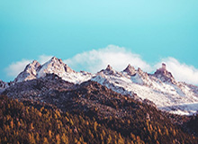 全面满足不同玩家的兴趣需求。资金出入方式安全快捷-前裁判：比萨球员双手扩大了防守面积，因此国米获得点球是正确的